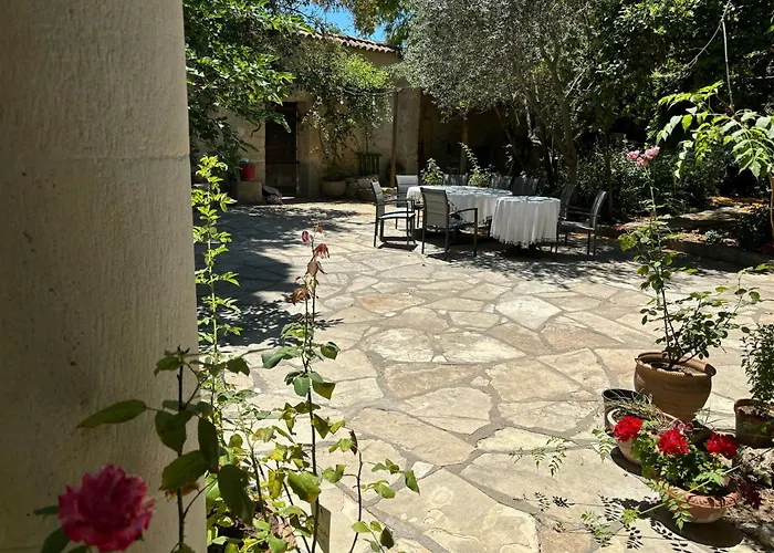 Antonys Garden House Han